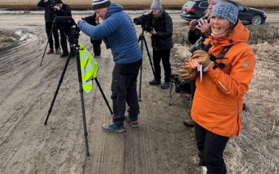 Fågelskådardagen 24 april 2022