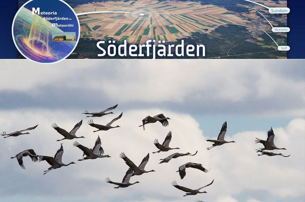 Upplev Söderfjärdens tranor och historia lördagen den 30 september 2023