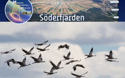 Upplev Söderfjärdens tranor och historia lördagen den 30 september 2023