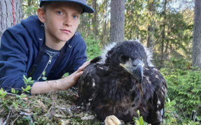 Vi återkommer i augusti med höstens program