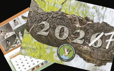 Bidra med naturbilder till GFN:s kalender 2027